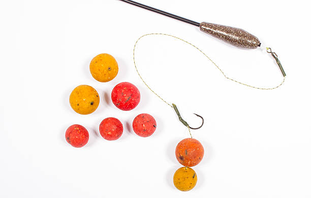 boilies