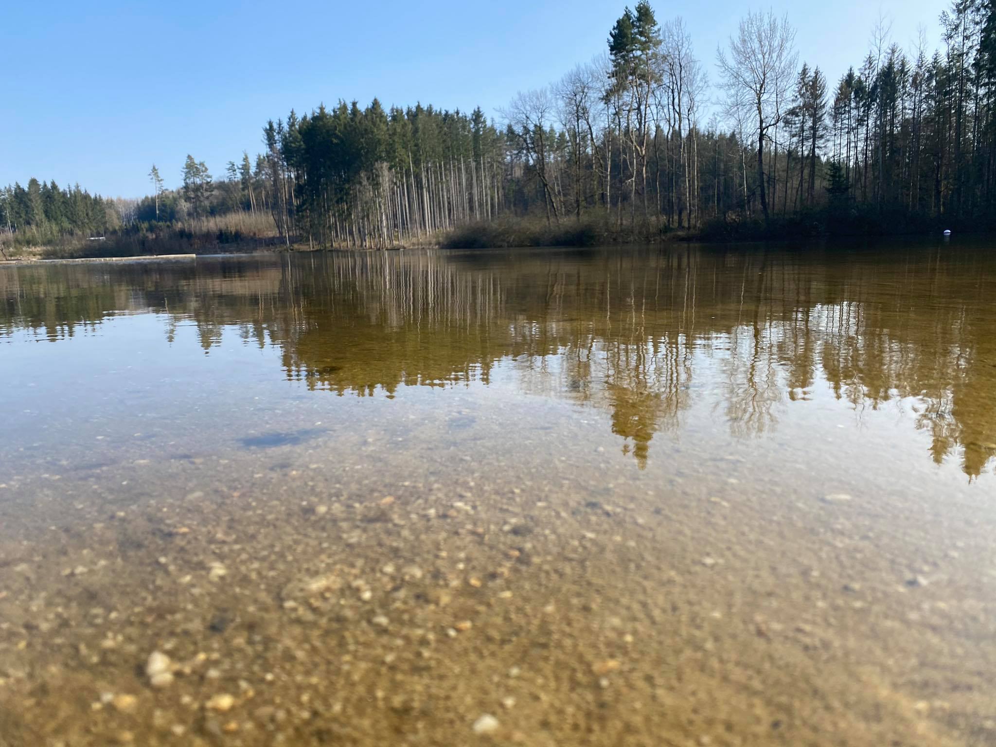 kemp_brezen_2021
