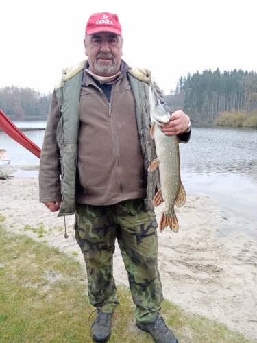 štika 85cm