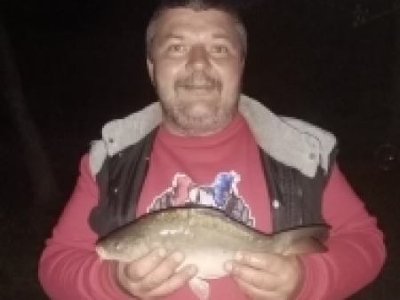 kapr 38 cm