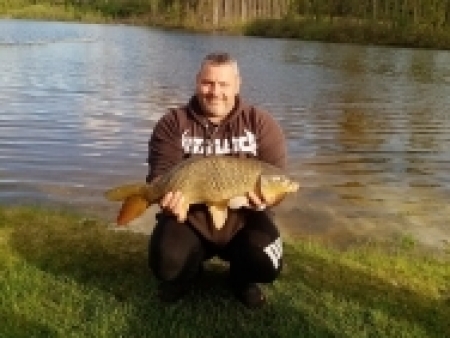 kapr 71 cm