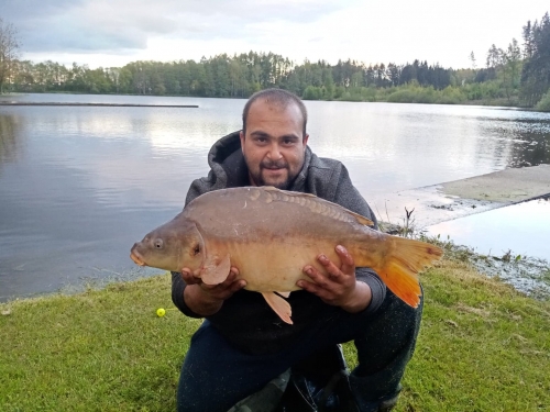 kapr 74 cm