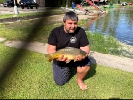 kapr 45 cm