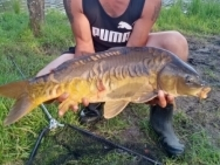 kapr 82 cm 9,5 kg