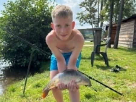 kapr 50 cm