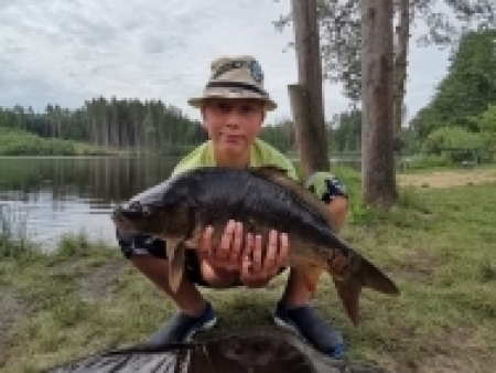 kapr 54 cm