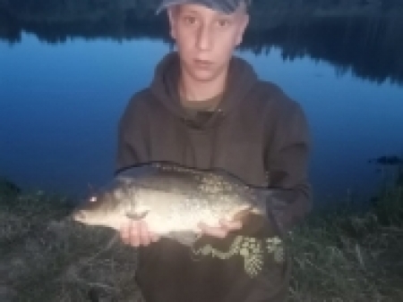 kapr pološupináč 48 cm