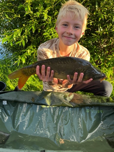 kapr 54 cm