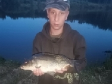 kapr pološupináč 48 cm