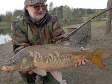 kapr 78 cm