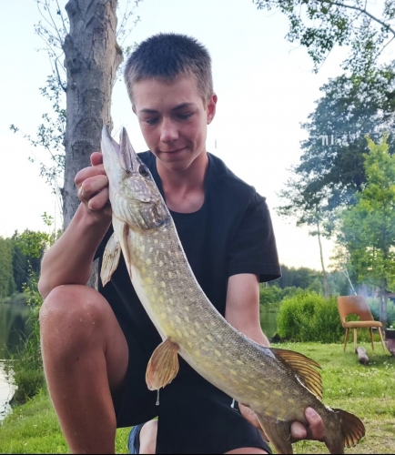 štika 74 cm
