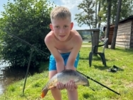 kapr 50 cm