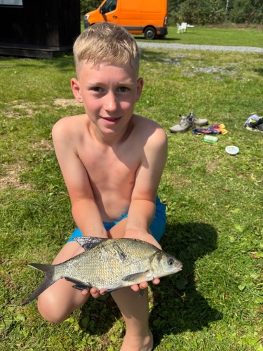 cejn 26 cm