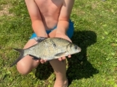 cejn 26 cm