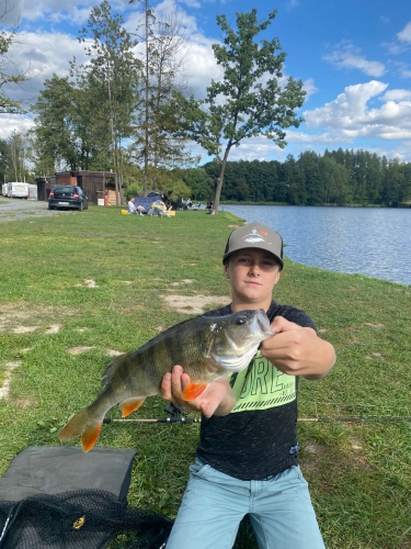 okoun 43 cm rekord