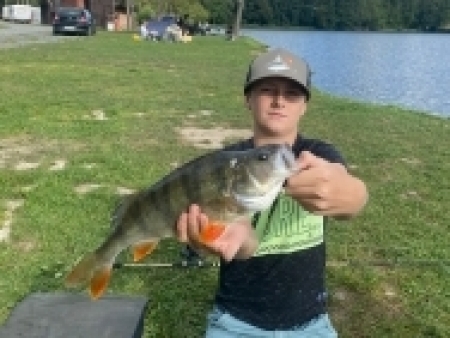 okoun 43 cm rekord