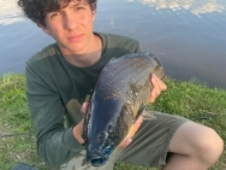 kapr 65 cm